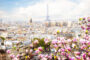از ویزا تا هزینه سفر، همه و همه در راهنمای سفر به پاریس