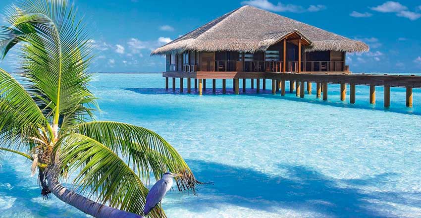 معرفی مالدیو مجمع الجزایر مالدیو در اقیانوس هند قرار دارد. 