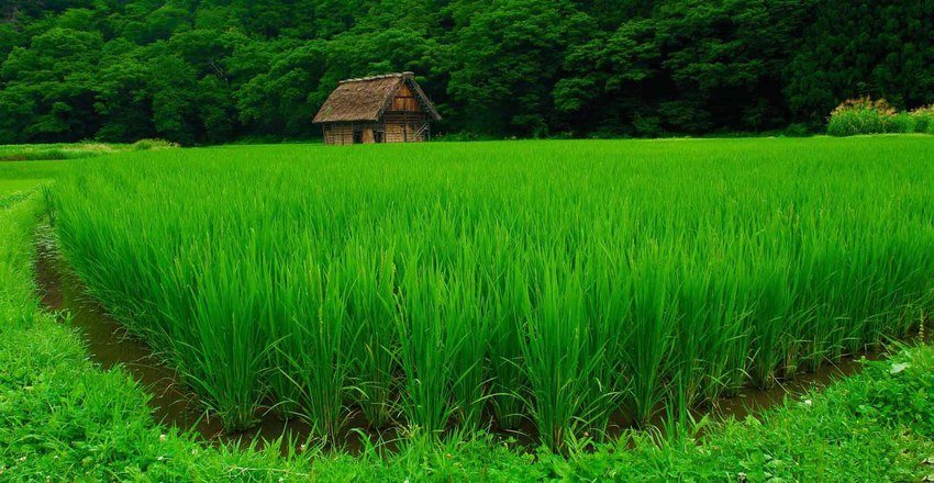 جاهای دیدنی غرب مازندران