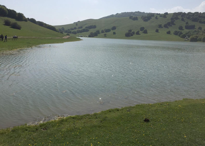 دریاچه سوها