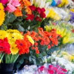 بازار گل محلاتی پایتخت؛ سفر به هلند در قلب تهران!