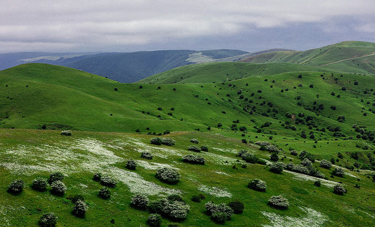 جنگل فندقلو نزدیک گردنه حیران