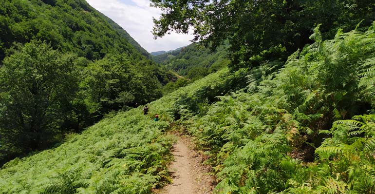 طبیعت زیبای گردنه حیران