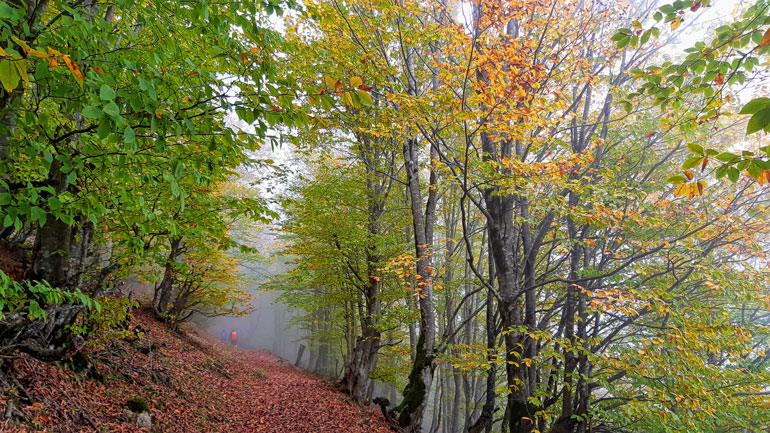 پاییز گردنه حیران