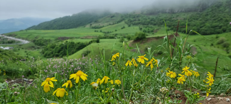 گردنه حیران