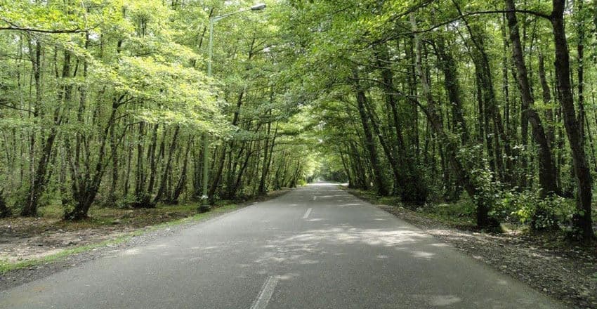 چمستان