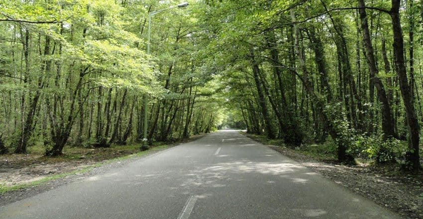 چمستان: جاهای دیدنی، بهترین فصل سفر + عکس | مجله علی بابا