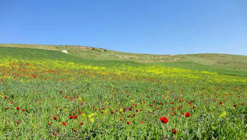 دره جنگلی ایردموسی در جاهای دیدنی سرعین