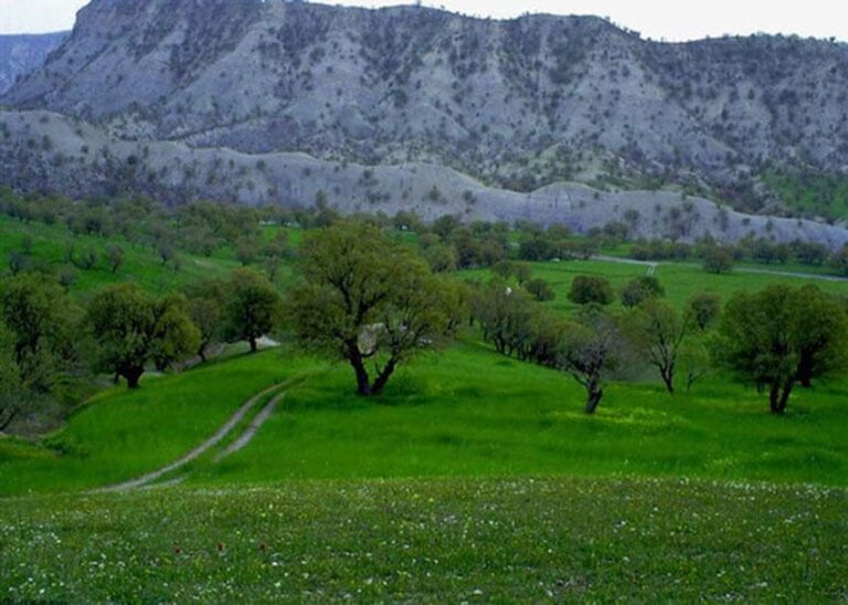 منطقه جنگلی ششدار در استان ایلام