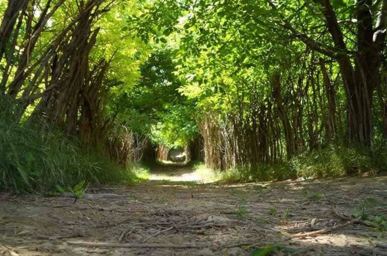 روستای بانقلان در استان ایلام