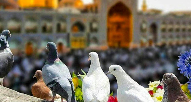 بهترین زمان سفر به مشهد _ دیجی چارتر