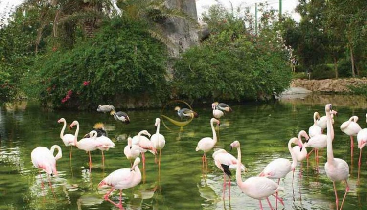 باغ پرندگان اصفهان