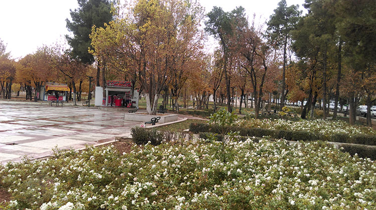 طبیعت زیبای پارک