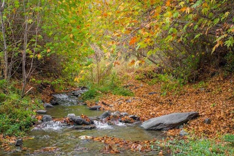 روستای سرسبز ابرده و زشک از توابع شاندیز مشهد