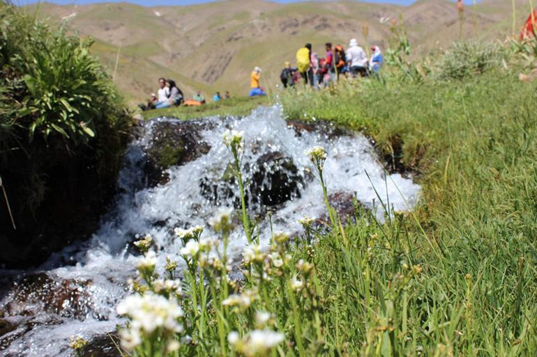 طبیعت بکر و زیبای منطقه