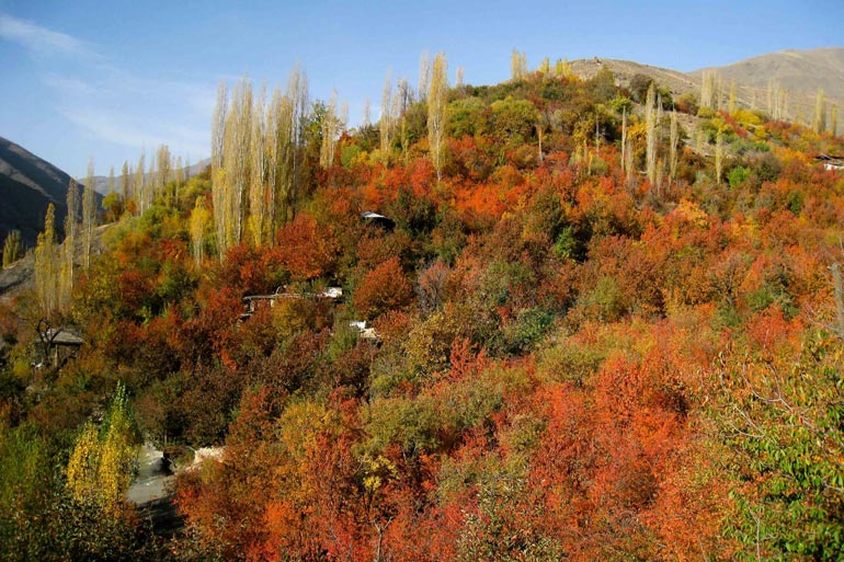 روستای زشک