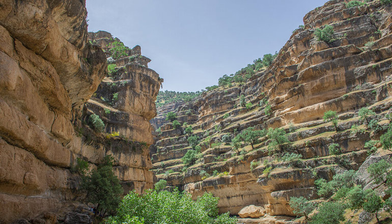 سرسبزی و طبیعت بکر منطقه