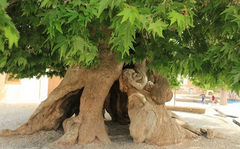 طبیعت و آب‌وهوای حوالی طاق بستان