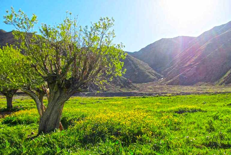 دشت هویج تهران؛ تکه‌ای از بهشت اما نزدیک تهران