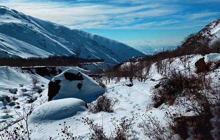 دشت هویج در زمستان