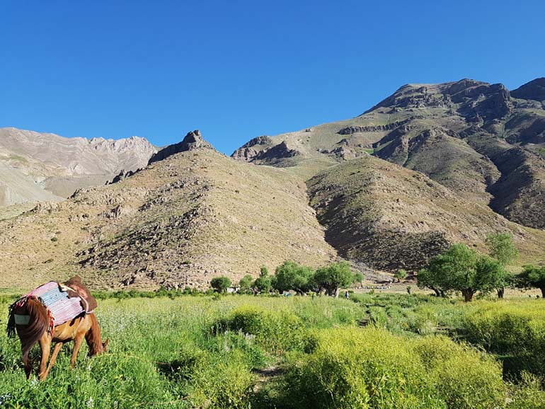 روستای افجه