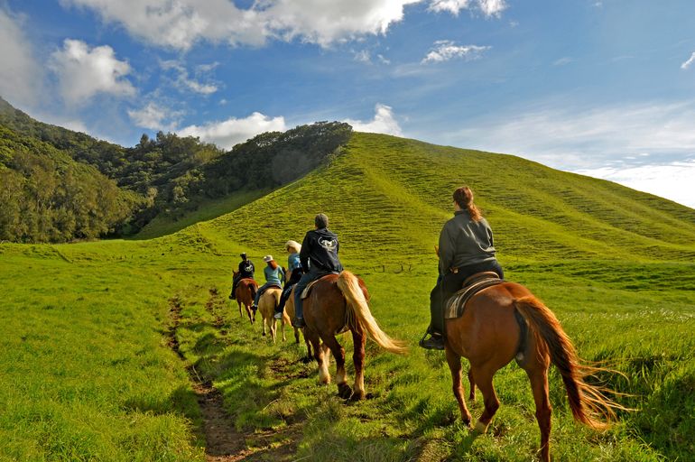 اسب‌سواری در سفر به جزایر هاوایی