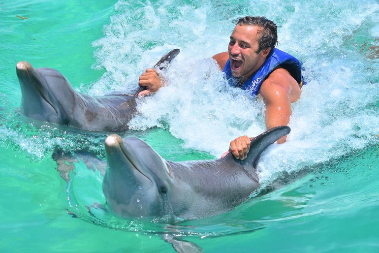 شنا با دلفین‌ها در سفر به جزایر هاوایی