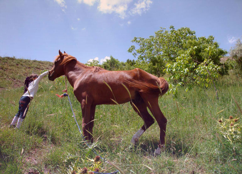 منطقه میوه خیز باغ تنگه روستای امامه