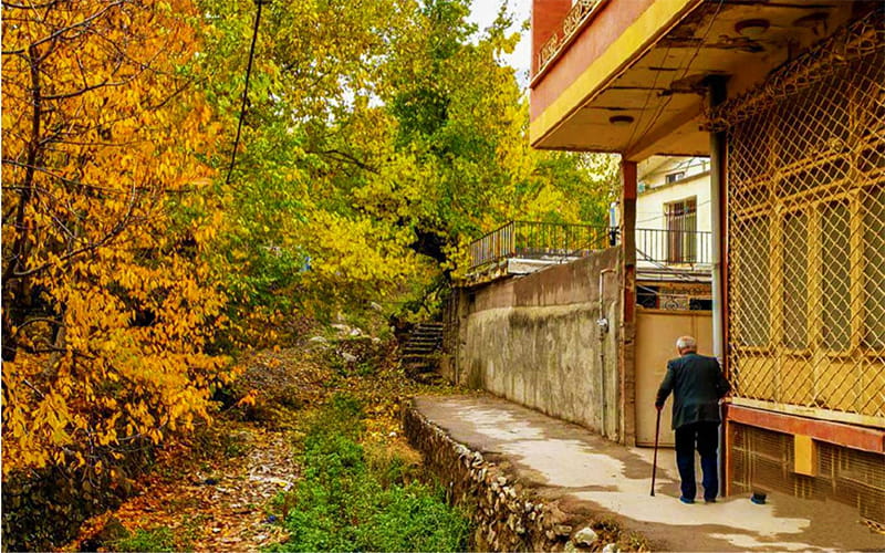 روستای افجه؛ آلبوم چهل سالگی طبیعت