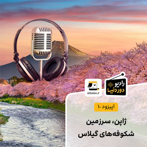 اپیزود ۱۰ رادیو دور دنیا - علی بابا