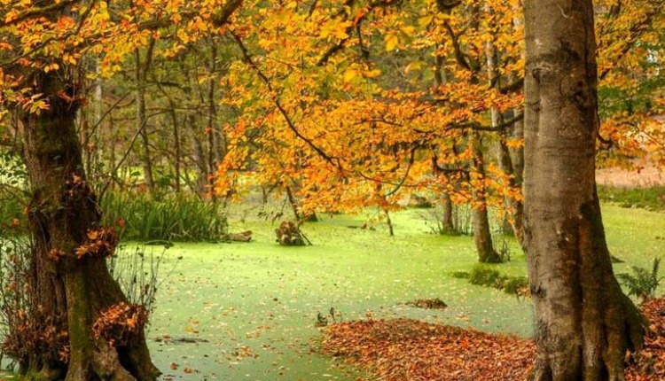 جاهای دیدنی شمال ایران