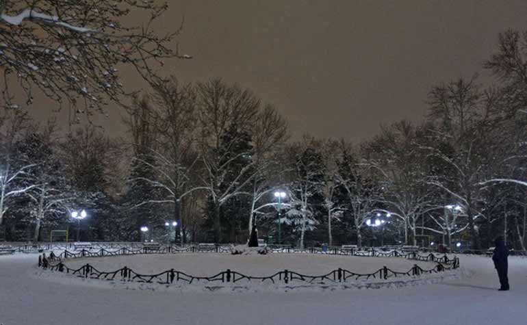 پارک ملت در شب