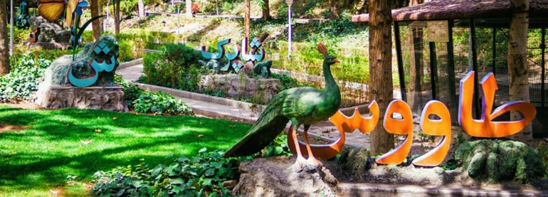 طاوویس زیبای پارک