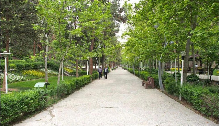 پارک ساعی