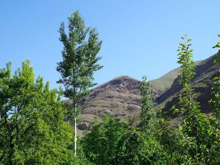 روستای آهار