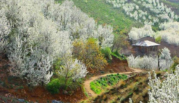 روستای سنگان