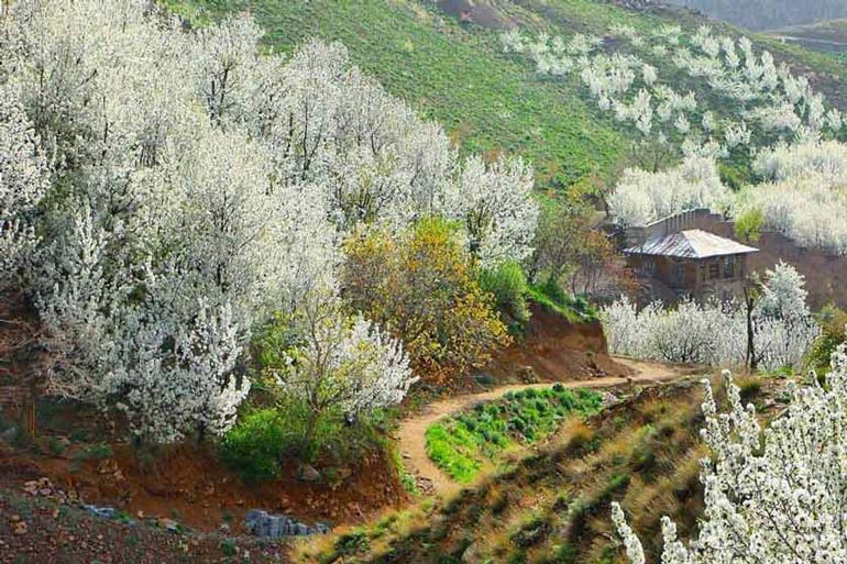 روستای سنگان تهران؛ نمایشگاه طهران خیلی قدیم