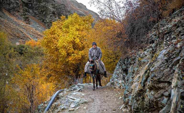 طبیعت روستای آهار