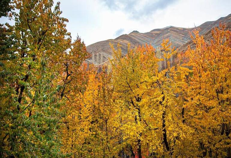 روستای آهار تهران؛ روستایی به زیبایی گل آهاری نزدیک تهران 6 پاییز روستای آهار