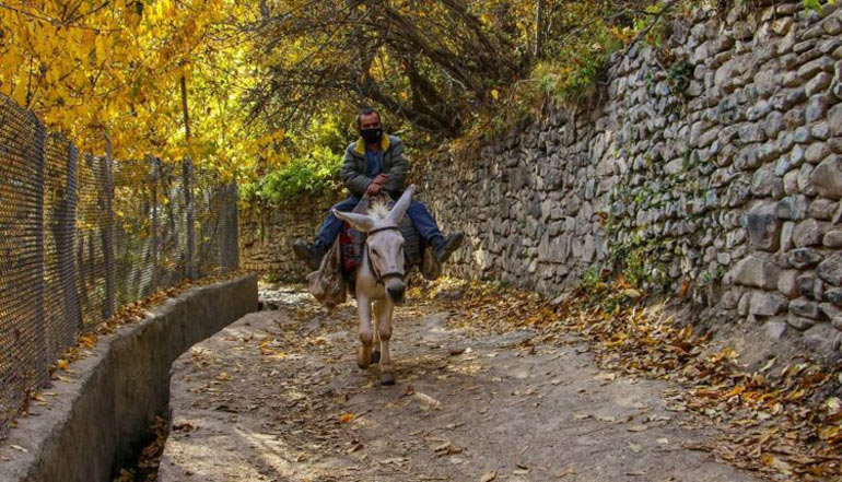 پاییز روستای آهار