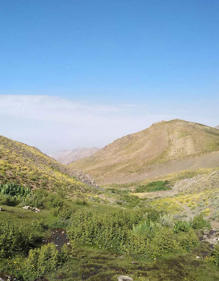 کوه های اطراف شهر