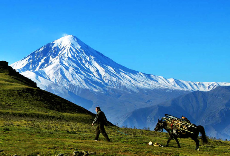 جاهای دیدنی جنگل الیمستان