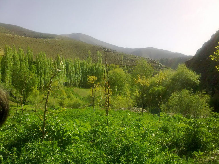 روستای جهان نما