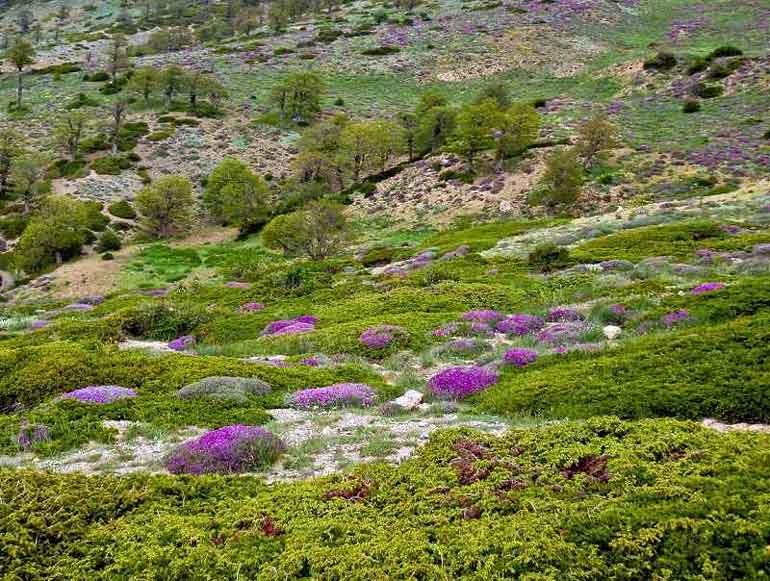 دیدنی های دهکده جهان نما