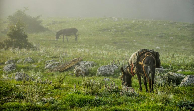 آشنایی با دهکده جهان نما