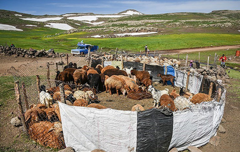 چرخ اقتصاد سوباتان چطور می‌چرخد؟