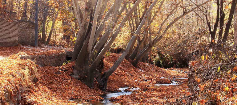 طرقبه نزدیک دره ارغوان