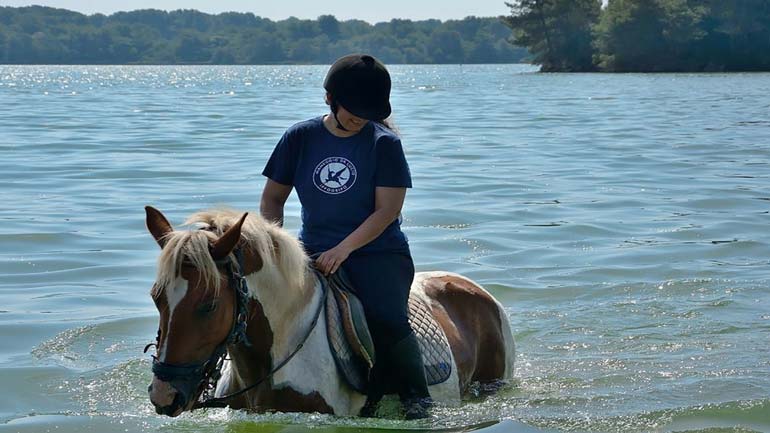 اسب سواری در دریاچه آویدار