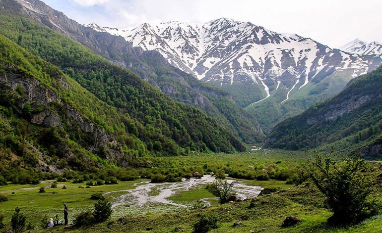 گیاهان دشت دریاسر