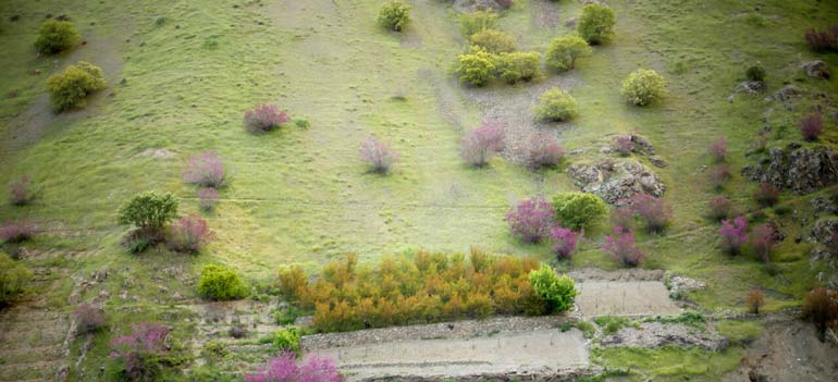 بهترین مسیر دره ارغوان